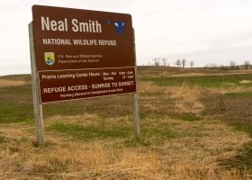 2015-0412-WLR-NealSmith-00098