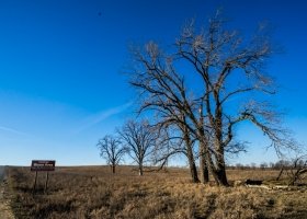 _DSC4246
